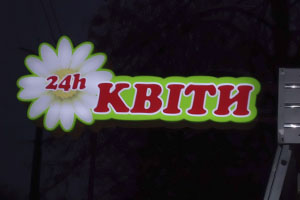 лайтбокс квіти
